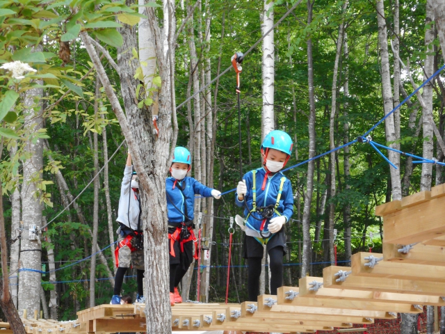 ツリートレッキング